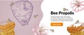 Bee propolis internet ad banner engraved vector illustration. Organic medical beauty natural wax