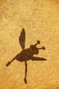 Bee shadow stone background