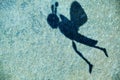 Bee shadow stone background