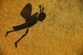 Bee shadow stone background