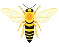A Bee simple vector illustration Royalty Free Stock Photo