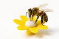 A bee sits on an artificial plastic flower. Space for text. Royalty Free Stock Photo