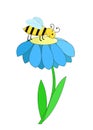 A bee sits on a flower and collects nectar.Vector cartoon children illustration.