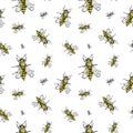 Bee sketch pattern. Hand drawn insect bees on transparent background. Seamless vector backdrop.