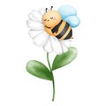 Bee sleeping on white daisy flower clipart, Watercolor cute insect illustration, Baby animal with floral art