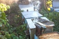 Bee smoker smoking in apiary copyspace seasonal honey bees beekeeping farming organic production producing concept.