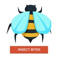 Insect bites bee stings bug or beetle allergy Royalty Free Stock Photo