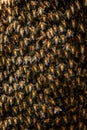 Bee swarm close up photo,Asiatic honey bee, apis cerana, wild bee swarm on branch in jungle. Wilpattu national park. Sri Lanka,