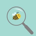 Bee under magnifier zoom lense. Flat design.