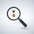 Bee under magnifier zoom lense. Flat design. Vector illustration.