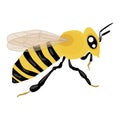 Bee vector icon on a white background. Insect illustration isolated on white. Bumblebee realistic style design, designed