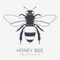 Bee Vector Logo. Business Icon for Your Company Royalty Free Stock Photo