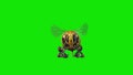 Bee Wasp Flies Loop Front Green Screen 3D Renderings Animations