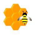 Bee, wasp, honey in flat style. llustration logo of natural products..