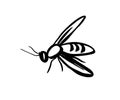 Bee, wasp, mosquito - flat illustration isolated on white background in dudule style. insect - sketch Royalty Free Stock Photo