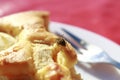 A bee, or wasp, sitting on a piece of cake, enjoying the sweetness