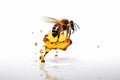 Bee on a white background with drips of honey, emphasizing the importance of bees in pollination and honey production. Ai