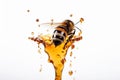 Bee on a white background with drips of honey, emphasizing the importance of bees in pollination and honey production. Ai