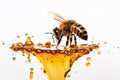 Bee on a white background with drips of honey, emphasizing the importance of bees in pollination and honey production. Ai