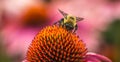 Bee working hard to get the objective Royalty Free Stock Photo