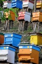 Bee Yard on the Hill in Bulgaria