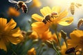 Bee on yellow flower. Honey bee on yellow flower. Macro photo, Bees flying over a beautiful yellow flower, AI Generated Royalty Free Stock Photo