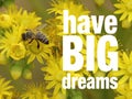 A bee on yellow flowers with inspirational quote Royalty Free Stock Photo