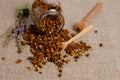Beebread or parchment grains on table close up, spoon stirring pollen perga Royalty Free Stock Photo