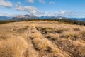 Beebys Knob hiking track in Nelson Lakes National Park, New Zealand Royalty Free Stock Photo