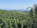 Beech forest in Papuk Nature Park - Slavonia, Croatia / Bukova ÃÂ¡uma u parku prirode Papuk - Slavonija, Hrvatska