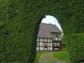 Beech hedge as windbreak Royalty Free Stock Photo