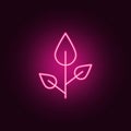 beech icon. Elements of leaves and flowers in neon style icons. Simple icon for websites, web design, mobile app, info graphics