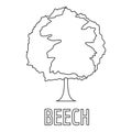 Beech icon, outline style.