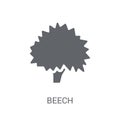 Beech icon. Trendy Beech logo concept on white background from N