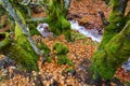 Beech landscape in autumn with creek going down the mountain and long exposure photography