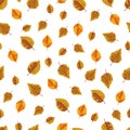 Beech leaf seamless pattern. Flat vector clipart, illustration Royalty Free Stock Photo