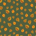 Beech leaf seamless pattern. Flat vector clipart, illustration Royalty Free Stock Photo