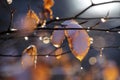 Beech leaves with snow and drops of dew