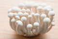 Beech mushrooms Royalty Free Stock Photo