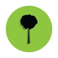 beech tree in green badge icon Royalty Free Stock Photo