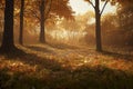 Beech trees in beautiful autum colors in Wamberg nature. ai generative.