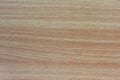 Beech wood laminate texture