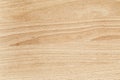 Beech wood texture close up Royalty Free Stock Photo