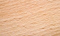 Beechen texture. Royalty Free Stock Photo