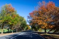 Beechworth Street Royalty Free Stock Photo