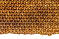 Beecomb texture close up Royalty Free Stock Photo