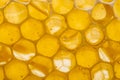 Beecombs with honey Royalty Free Stock Photo