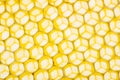 beecombs texture in the detail Royalty Free Stock Photo