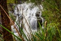 Beedelup Falls, a small and attractive series of rocky cascades near Pemberton WA