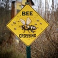 Beee crossing sign